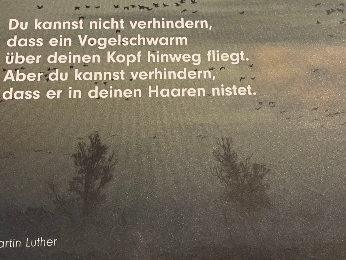 CHANGE IT, LEAVE IT OR LOVE IT